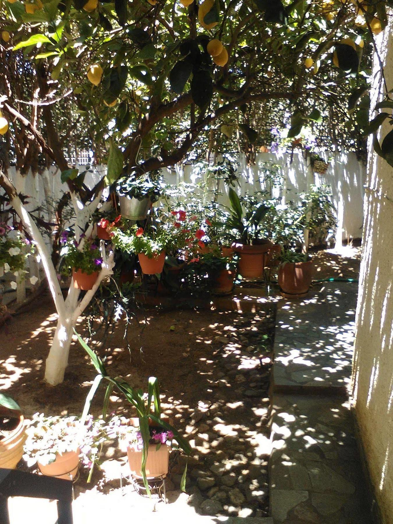 Aparthotel Iliahtides Amarynthos Exterior foto